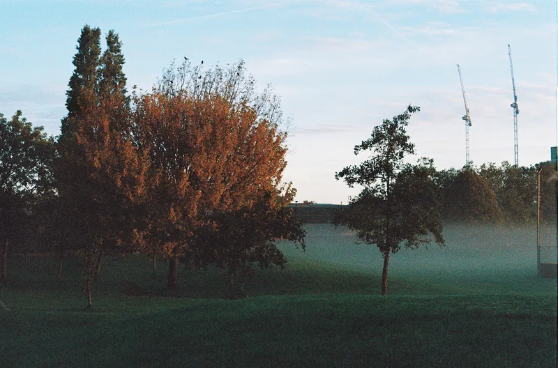 grove